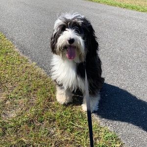 Meet your Posher, Julie